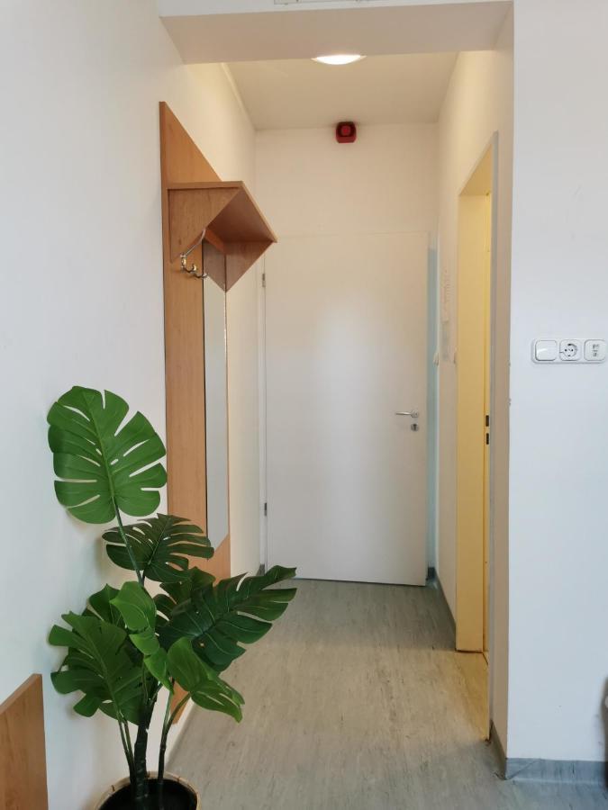 Hid Ifjusagi Szallo Hostel Dunaújváros Kültér fotó